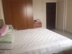 bukit-batok-street-33 photo thumbnail #14